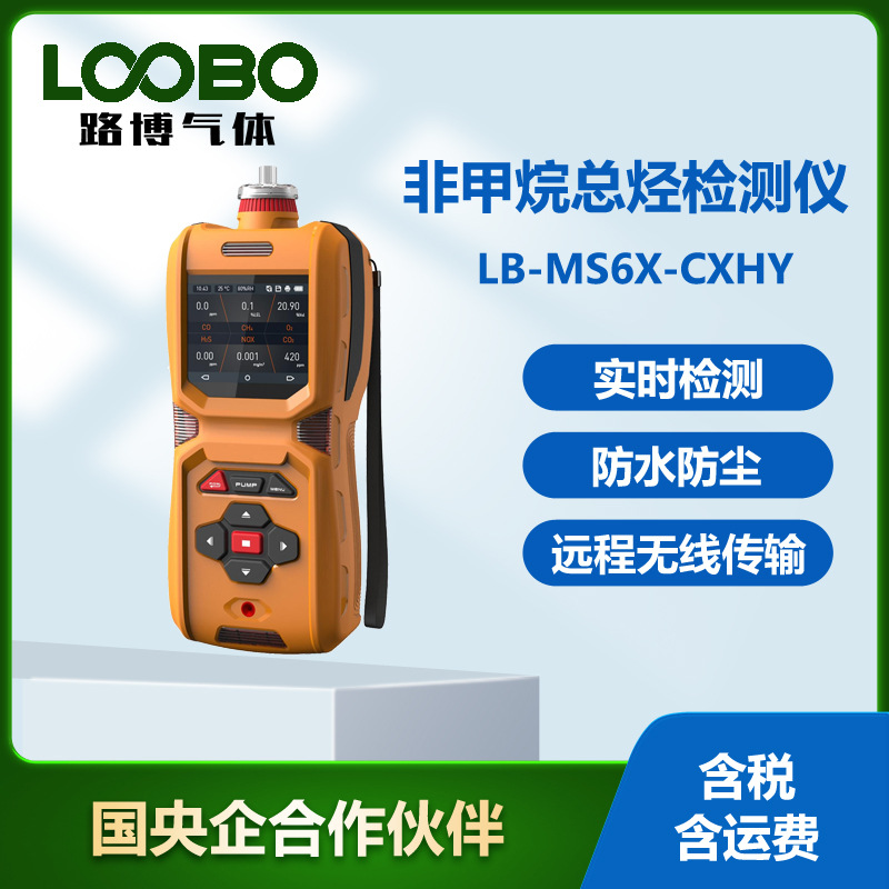 便捷式非甲烷总烃分析检测仪 泵吸式非甲烷总烃监测报警仪