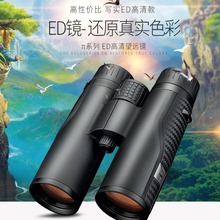 Shuntu;hRPϵpͲ10x42EDRƬVϽSMC߷ |Ĥ