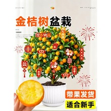 ��ۘ�������Կ�ʳ�Î�����Ƥ�ļ����ӿ͏d�҃Ȼ��ܾGֲ�����l؛