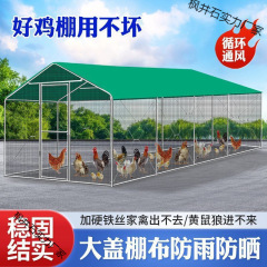 屋外鶏小屋、鶏小屋、特大家禽、防雨、家庭用鳩小屋、孔雀鶏小屋、大型飼育構築