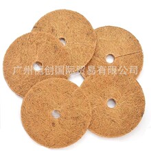 Ҭ�z��滨�������辰���ԾGֲ���������b�Ҭ��Ƭ�o���w���w��