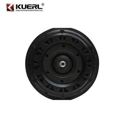 Car speaker/subwoofer Modification High-Power 12V Active