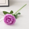 Single Brazilian Rose-Purple