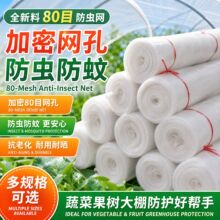 全新料80目防虫网蔬菜果树大棚防虫网多规格可选防蚊防虫网罩