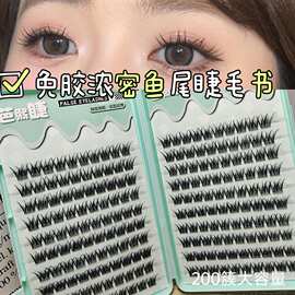 懒人免胶纯欲浓密鱼尾仿真新手纤细柔软新款日常假睫毛亚裔混血