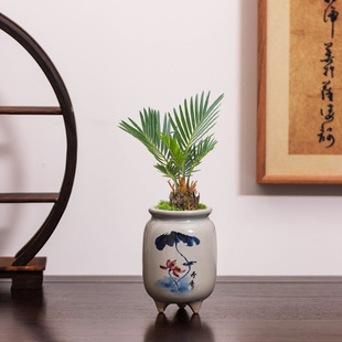 ��ʽ���໨С�F�仨���մɇ��L���L���þGֲ����[�������l