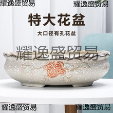 ڏش̖⻨NĿyAôˮ̖MƴP