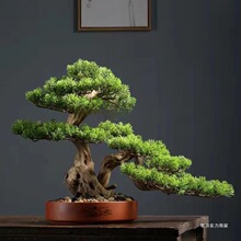 �҃ȿ͏d�ɘ�ӭ�����辰�����ɘ��쾰С�ɘ����Ի����������ɘ�