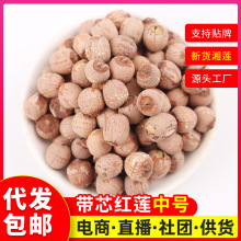 产地货源带芯红莲500g红莲子散装有芯莲厂价批发一件代发莲子批发