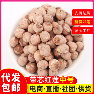 �a��؛Դ��о�tɏ500g�tɏ��ɢ�b��оɏ�S�r���lһ�����lɏ�����l