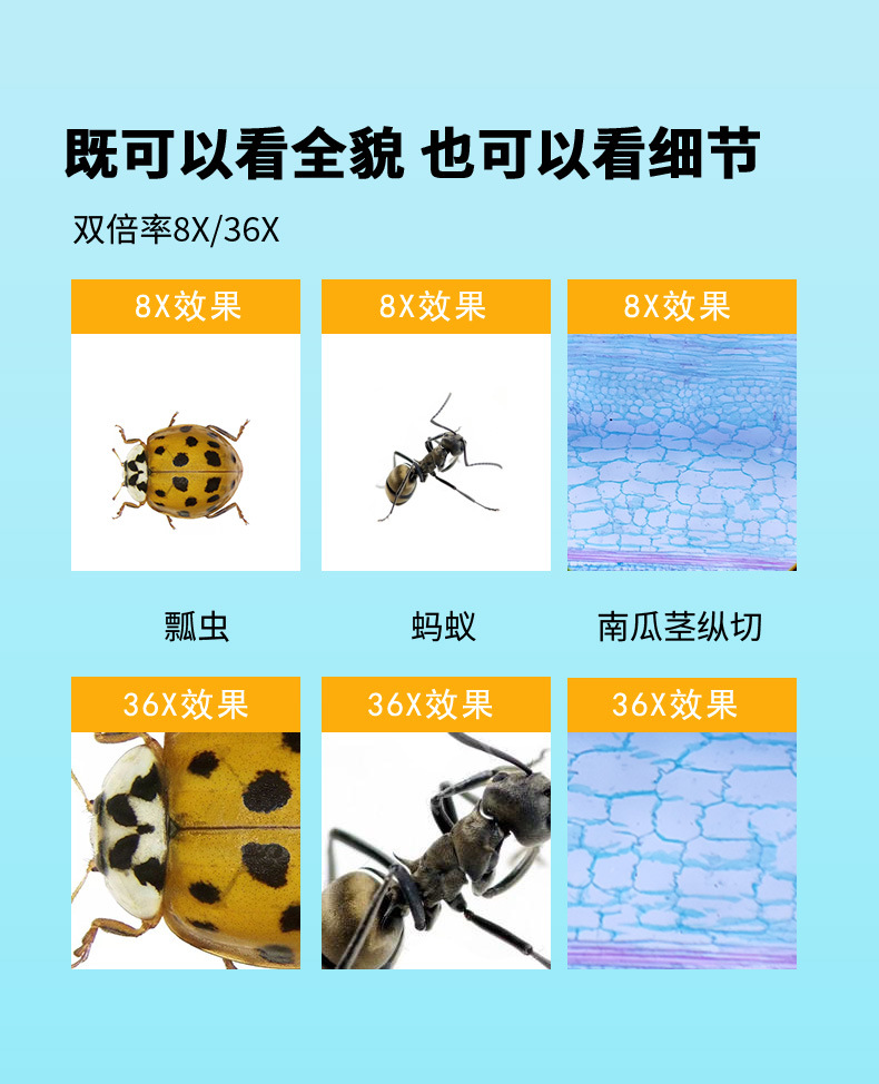O1CN01GkIEmy22T0qZ3P1Jn_!!2211877577120-0-cib.jpg
