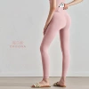 Seashell powder (hip line upgrade)