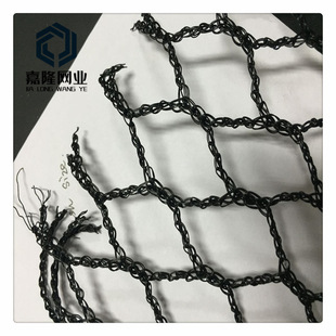 BSCI�S�� �����Bֳ���B�W �B�u�W�r�u�����W �����������B�W