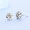 Capacious silver needle, advanced earrings, silver 925 sample, internet celebrity, high-quality style, with snowflakes