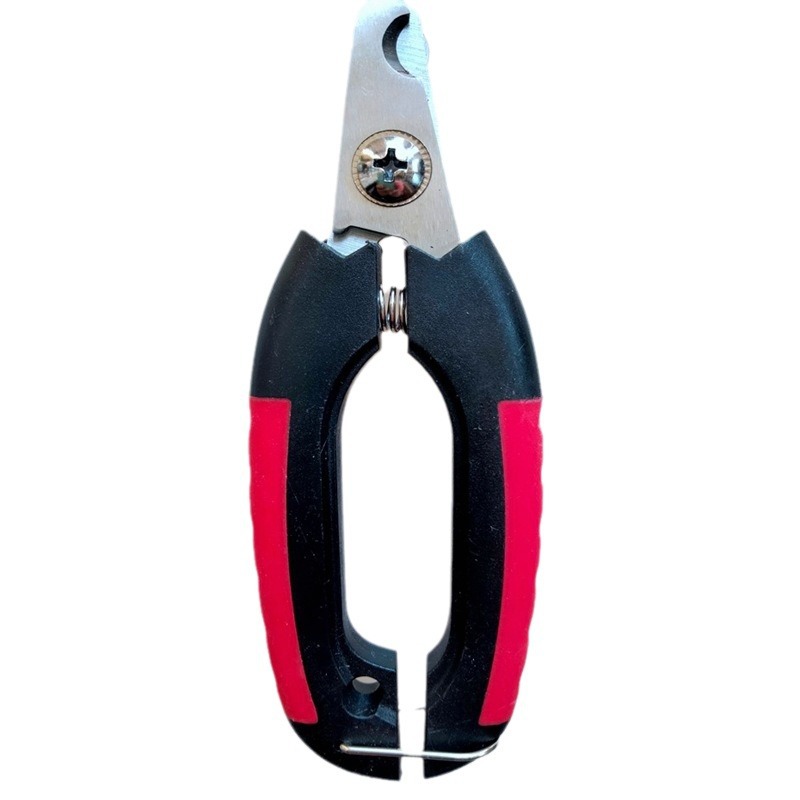 2024-03-11 19:34:51.jpg