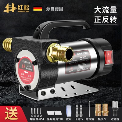 红松 Насос насоса электрического масла Небольшой 12V24V220V VOLT Дизельный заправки Двигатель положительный и отражательный насос насоса масла насоса