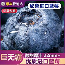 秘鲁进口蓝莓新鲜孕妇水果巨无霸超大果22mm+蓝莓果