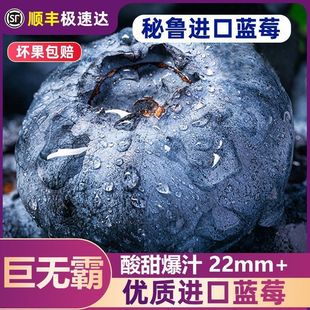 �����M���{ݮ���r�ЋDˮ���ޟo�Գ����22mm+�{ݮ��