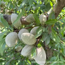 ��������ع����͵�ľ���� �͵��Ӽ޽����� �������ʰ͵�ľ��С��