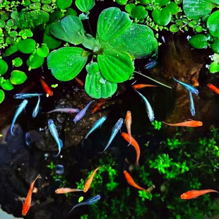 *�^�����F�~����� ���F�~�������^�p�~ С���\��С�~�����B��