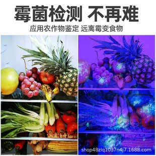 Purple Light Detector Lamp uv365nm Fluorescent Agent Detection Cat Moss Lamp Rechargeable Flashlight Ultraviolet Wood's Lamp