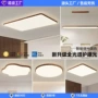 新款护眼大厅简约客厅灯