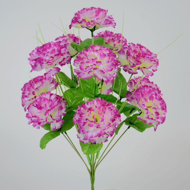 Henan Photos Pantalla Flor artificial 12 Clavel de rama verde afrutado Decoración Flor Ramo del Día del Maestro