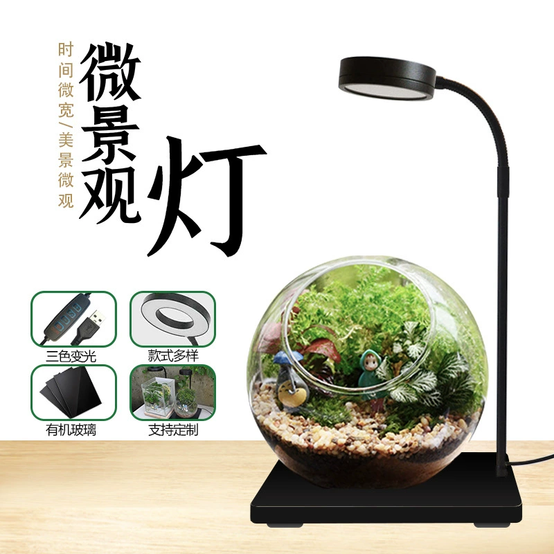 Светодиодный микропейзаж Свет для выращивания растений заполняющий свет мох свет экологический свет для бутылок мясистый свет бамбуковая доска свет для аквариума свет