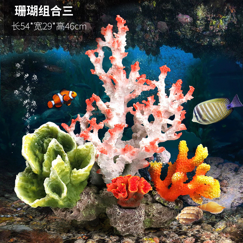 珊瑚175