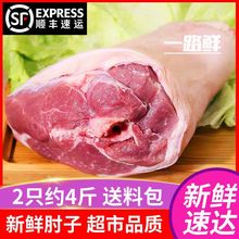冷冻生鲜猪肘子猪前肘约斤两个装猪腿猪前腿生猪蹄猪脚猪手猪蹄厂