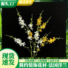 ̩m滨ٻ֧bˇ͏dػƿ҃Ȕ[Ż