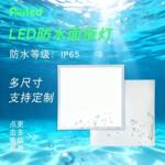 防水面板灯ip65led平板灯dali净化急应灯具防雾水防尘防暴灯
