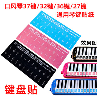 Organ Key Sticker 37 Key 32 Key 36 Key Universal Qimei Swan DHS Jiadrui Guoguang Keyboard Sticker