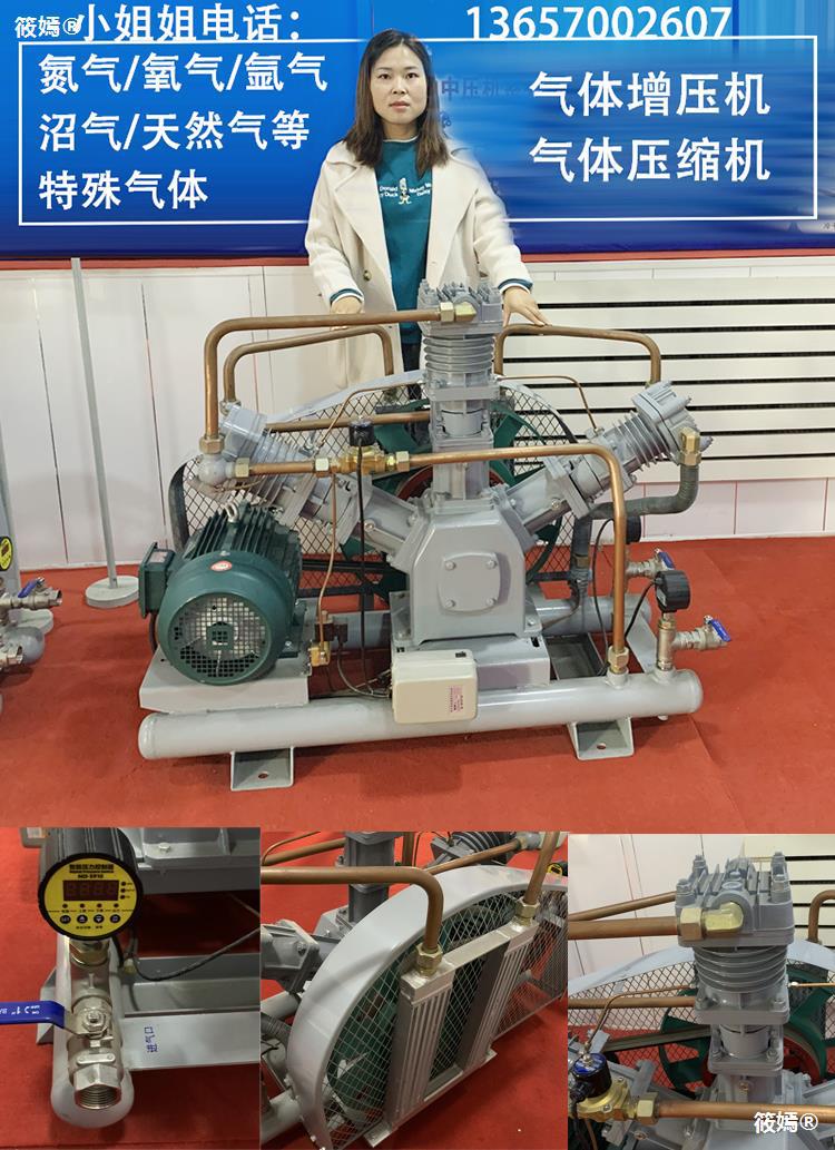 argon/Nitrogen/oxygen/Hydrogen/Biogas/Natural gas/Liquefaction Air pump pressure boost compressor No oil Air compressor