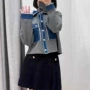 新款秋季翻领休闲针织衫