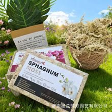 �S�����l���s��ˮ̦΢���^�쾰�����mʯ���Nֲ���ÿ羳���N̦�\