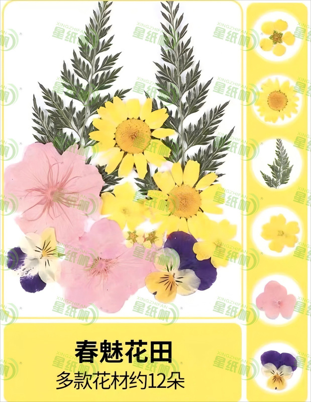 星纸帆脱水纸浆100克东巴纸DIY制作造纸术材料幼儿园活动亲子互动|undefined
