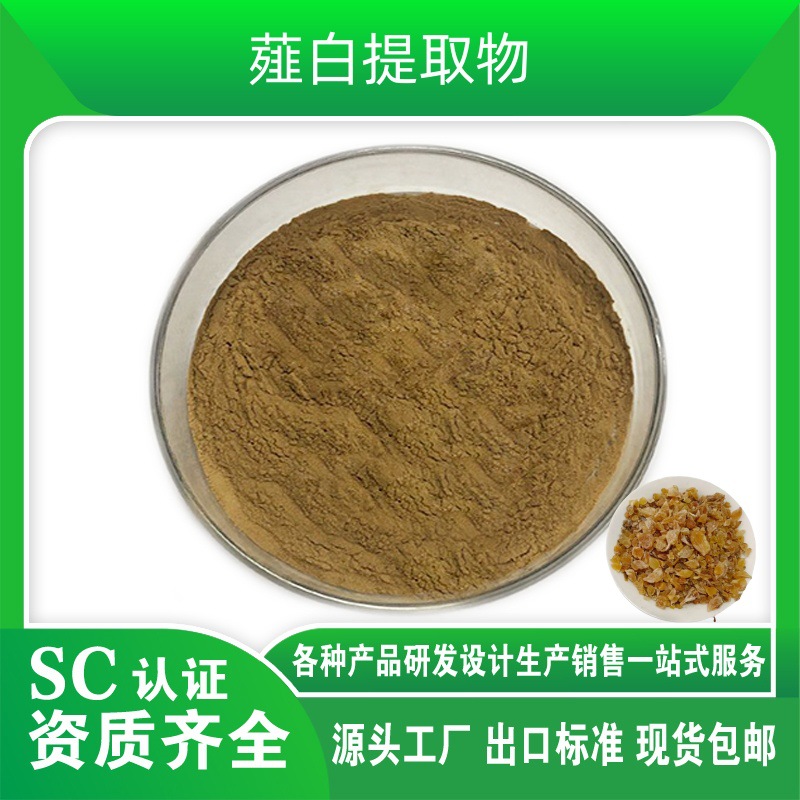 薤白提取物 薤白粉 野小蒜萃取 山蒜根提取物 现货供应 1kg起订