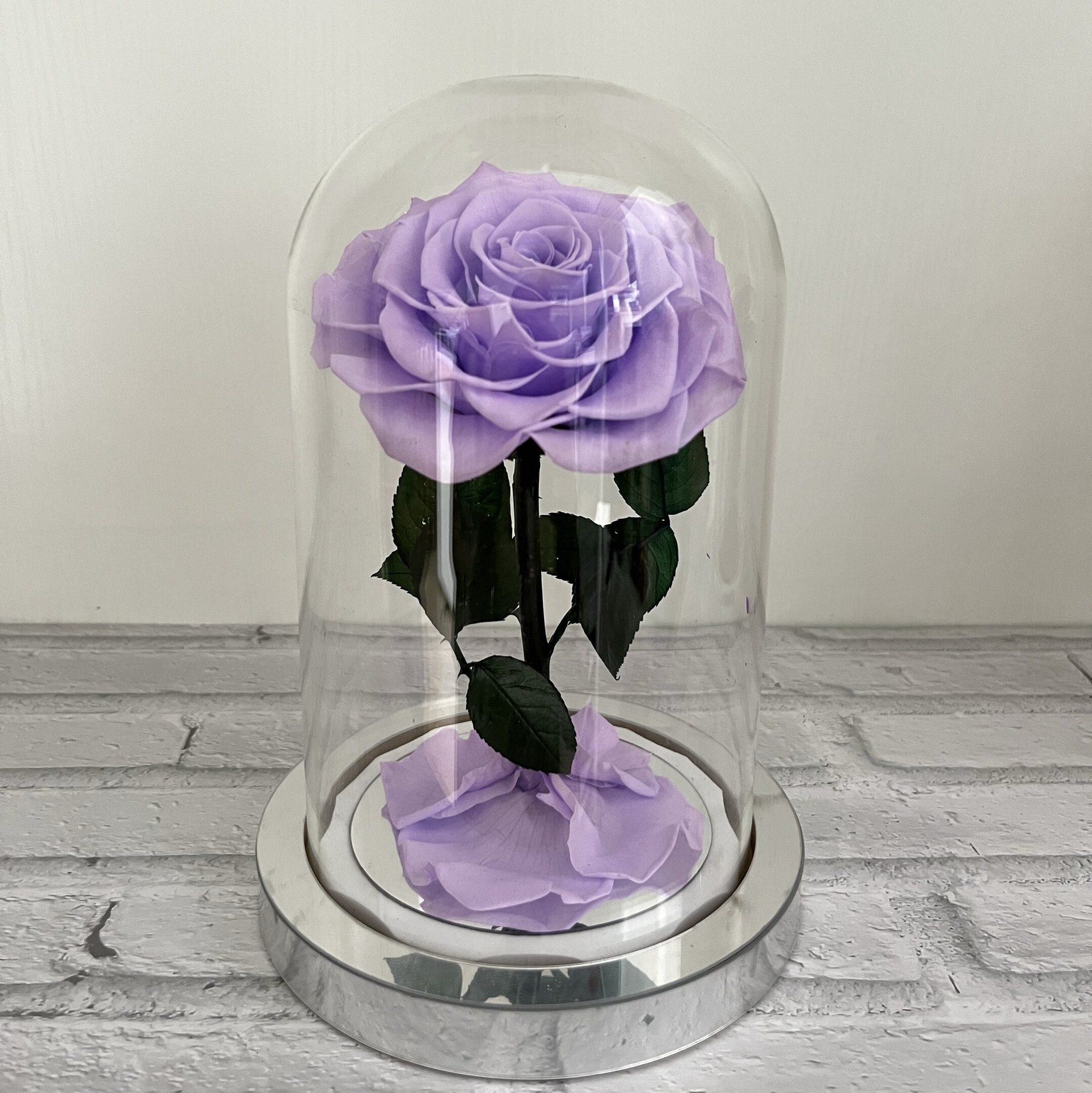 빛이 없는 밝은 보라색 은색 배경 선물 상자