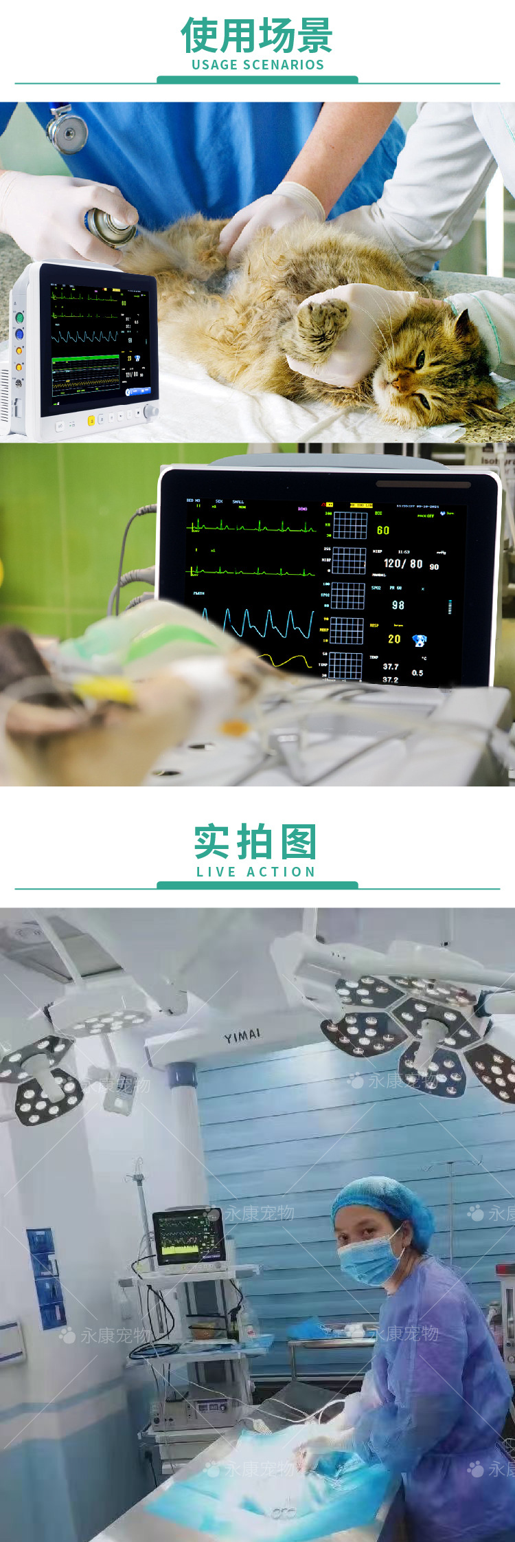 【定制】永康宠物监护仪VE12宠物医院猫狗兽用多参数监护仪厂家-阿里巴巴