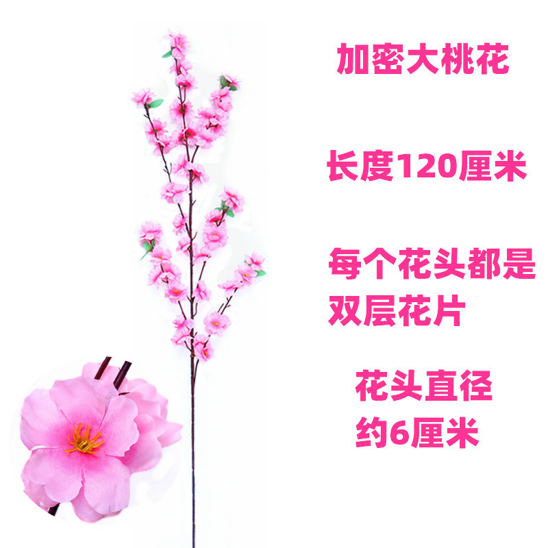 IMG_8727_副本_副本