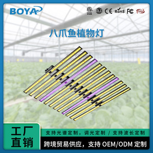 ����ȫ���Vֲ��������צ�~�¿��a����҃�ledֲ�����L������