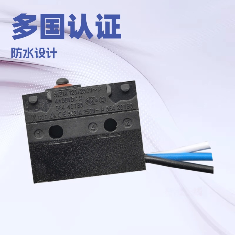 多国认证汽车门控防水开关WS1系列 出线式防水微动开关IP67防水开