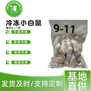 9-11g ���������С�������� �_ʳ�Z�،m�����������������