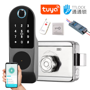 External Old-Fashioned Iron Door Fingerprint Lock Password Lock Bull Head Smart Lock Swipe Card Bluetooth Remote Graffiti Smart Door Lock
