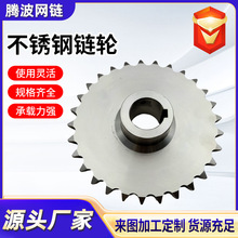 不锈钢链轮齿轮08B10A单双排精密传动齿轮大节距304工业传动链轮