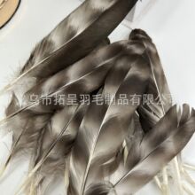 �S�ҬF؛�J���Cβ����ë��ˇƷñ���b����Ұ�uëdiy���y��ë