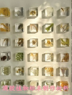 ֲ����z���K�˱�ģ�� �����ɻ��N��ֲ�����w�˱�����diy���z����