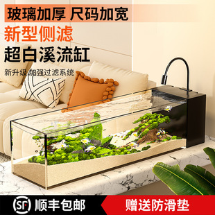 Ultra-white glass fish tank 2025 new stream tank ecological landscaping desktop tank living room special goldfish tank South America tank