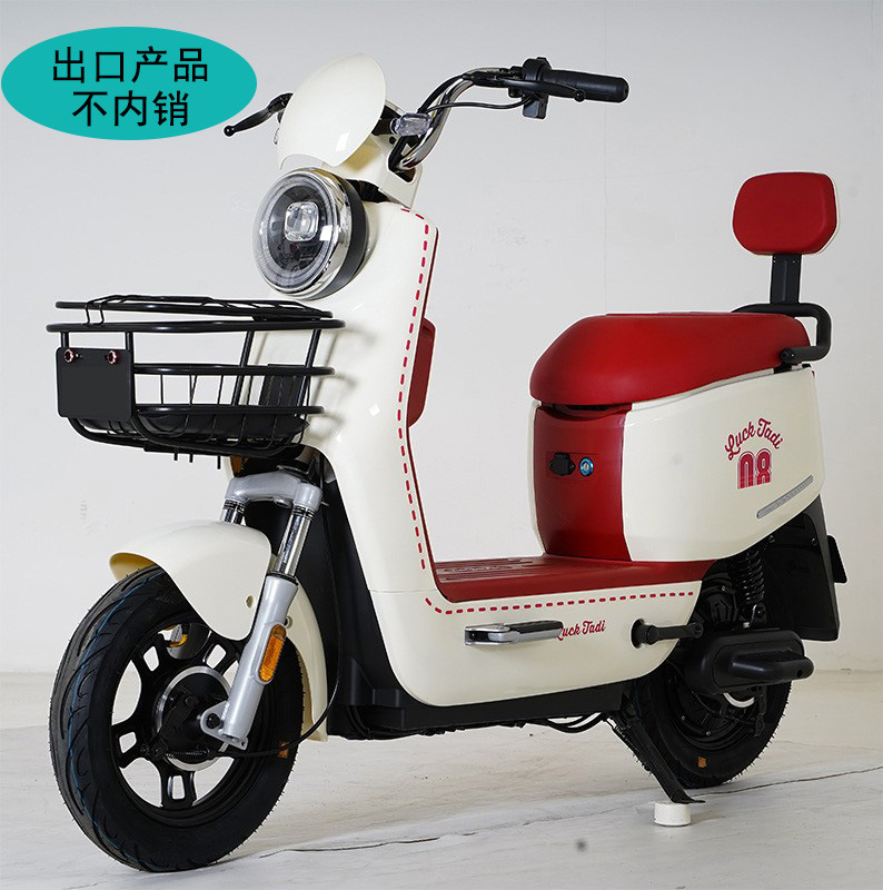 electric electric car for adults